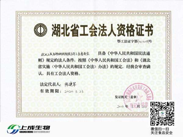 祝賀上成生物成立“工會(huì)委員會(huì)”“黨支部委員會(huì)”