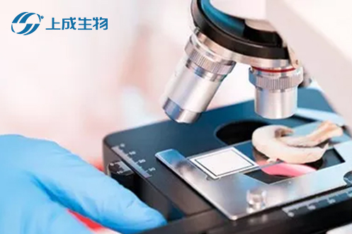 喜報(bào)，上成生物攜手荊州市四大檢測(cè)部門擬定食用農(nóng)產(chǎn)品快檢實(shí)驗(yàn)室建設(shè)運(yùn)行標(biāo)準(zhǔn)